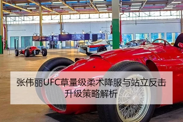 张伟丽UFC草量级柔术降服与站立反击升级策略解析