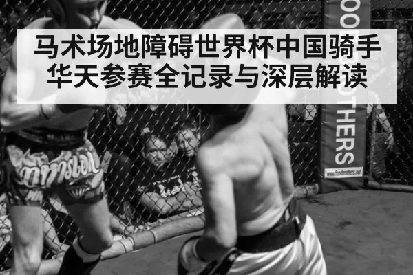 马术场地障碍世界杯中国骑手华天参赛全记录与深层解读